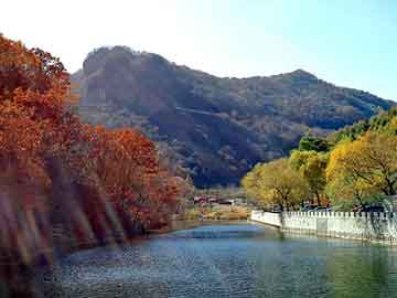 澳彩资料免费长期公开，北海道自驾游车祸